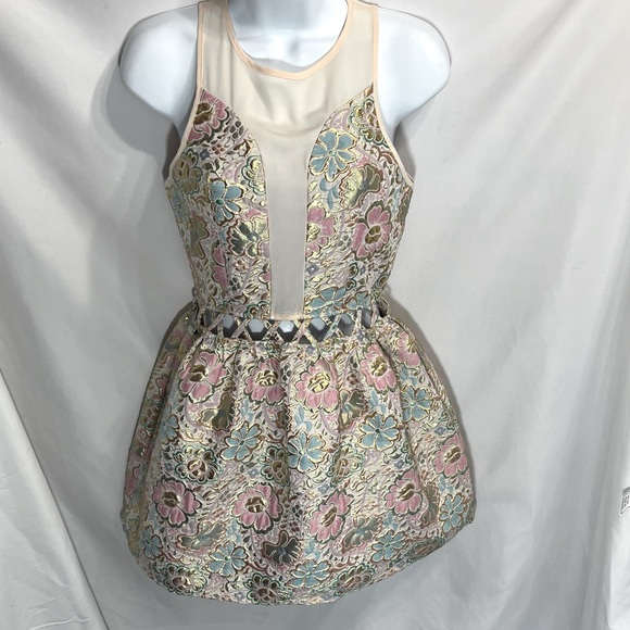 english rose Dresses & Skirts - English Rose Floral Dress
